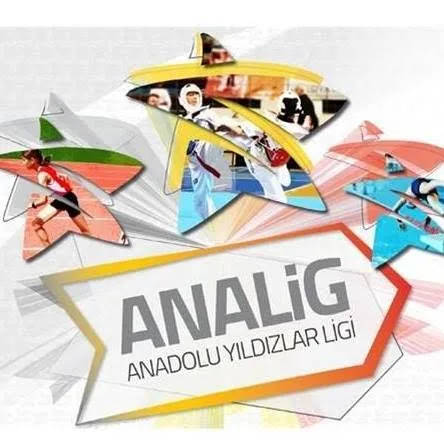 ANALİG Anadolu Yıldızlar Ligi Karate Türkiye Şampiyonası